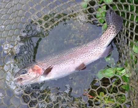 また高島の泉へ